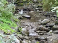 A pebble in the stream