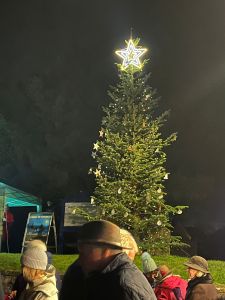 The beautiful tree
