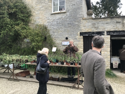Robin and the ever popular plant stall