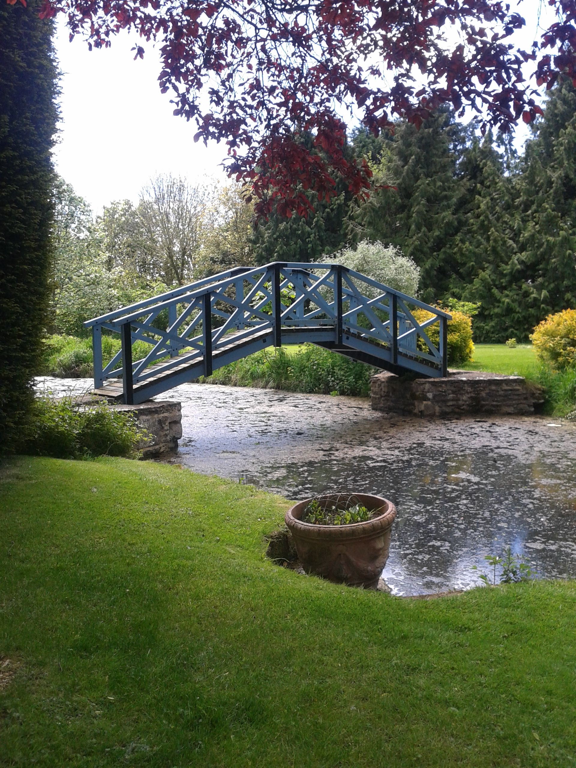 2015-05-16 12.16.59.jpg